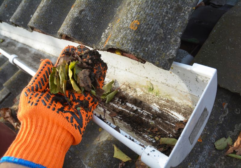 Gutter Cleaning in Baltimore, MD