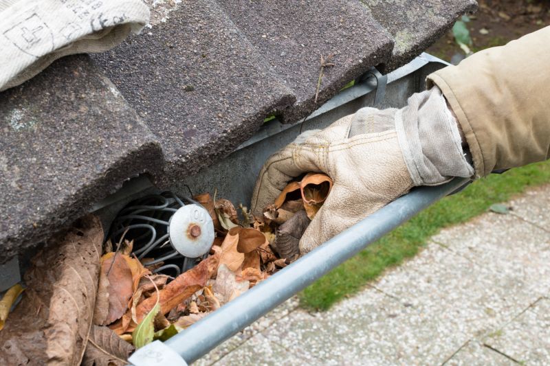 Gutter Leaves Removal in Rochester, NY