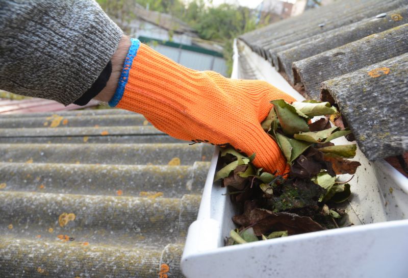 Gutter Leaves Removal in Fredericksburg, VA