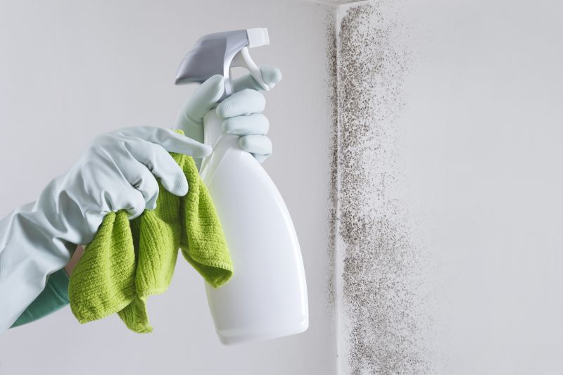 Mold and Mildew Removal
